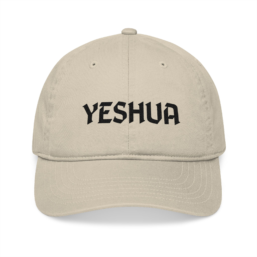 Organic Baseball Cap (Embroidery)